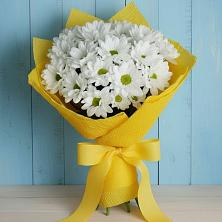 Букет цветов из:  Хризантемы в Быково Подольского района