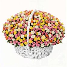 Премиум букет из: Розы в Быково Подольского района