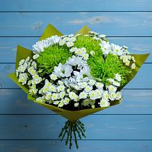 Букет цветов из:  Хризантемы #REPLACE_PRED# Быково Подольского района