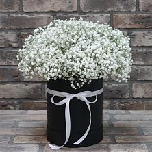 Цветочная композиция из Гипсофила в шляпной коробке в Быково Подольского района